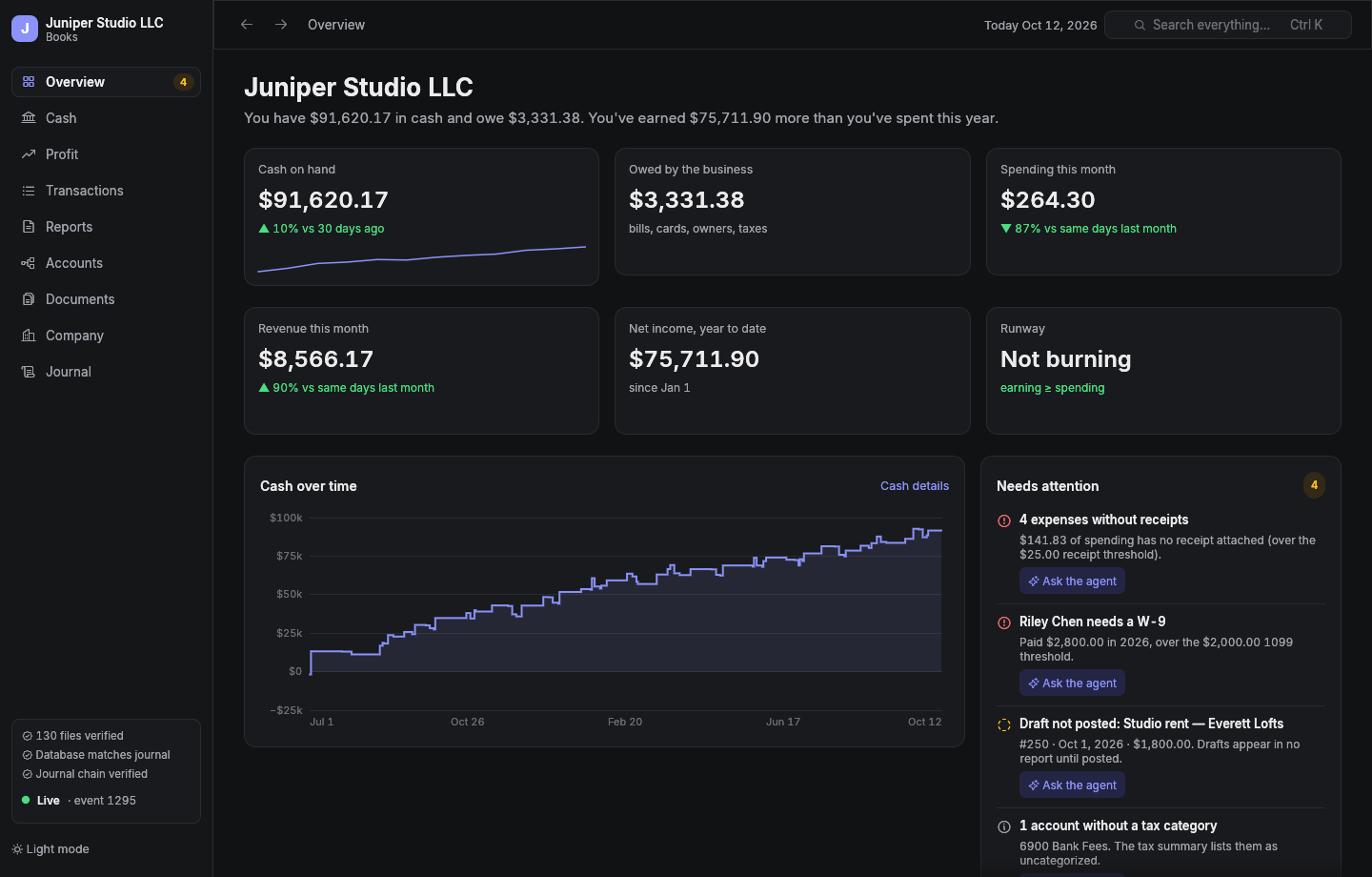 The wanderbooks viewer's overview: cash, what you owe, spending, revenue, runway, a cash chart, and what needs attention